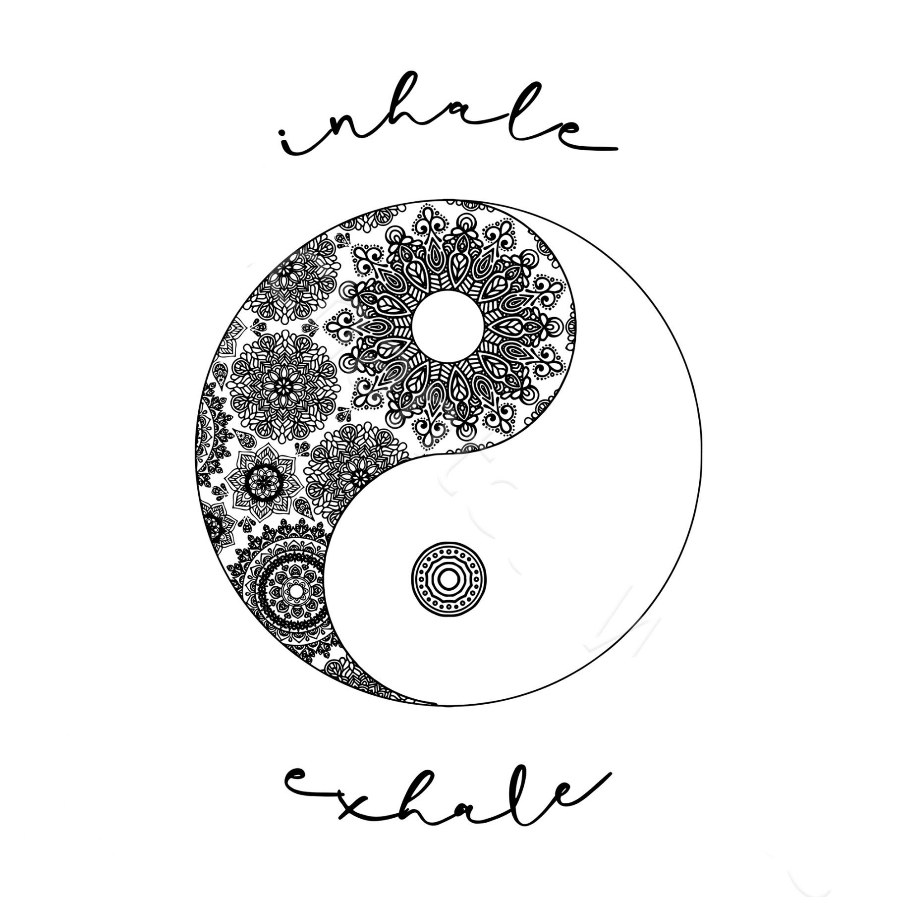 The Creative Cycle: A Story of the Seed and the Garden