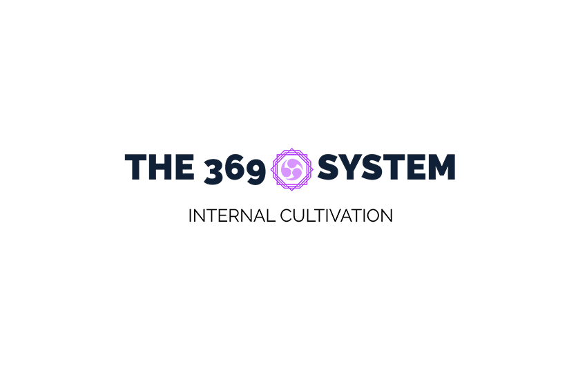 The 369 System Questionnaire