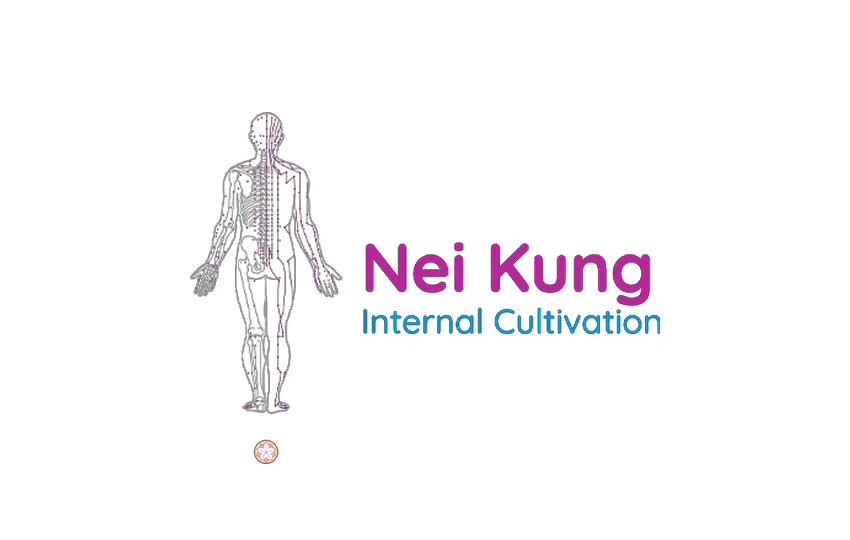 Nei Kung Questionnaire